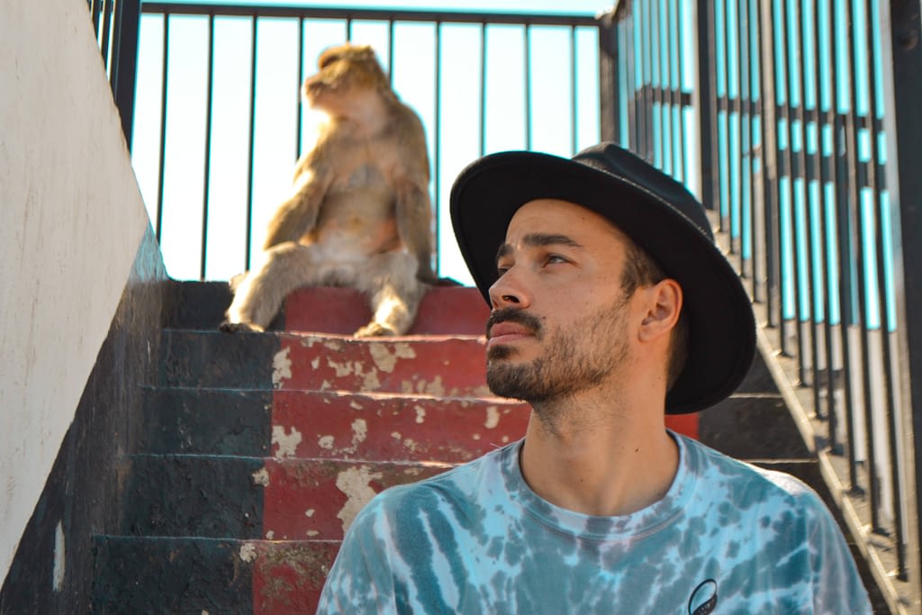 Alt-monos-gibraltar